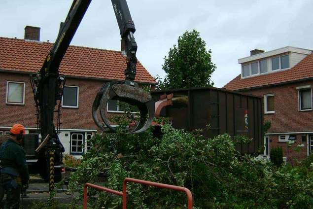 opknijpen takken van een sierkers in best ruimen en kappen van bomen